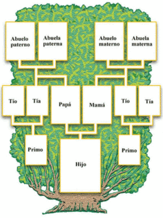 La Genealogía Como Fuente De Información Histórica